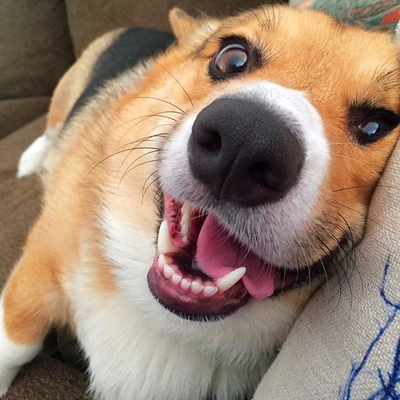 Thank you ❤️ - Picture 1 of 12